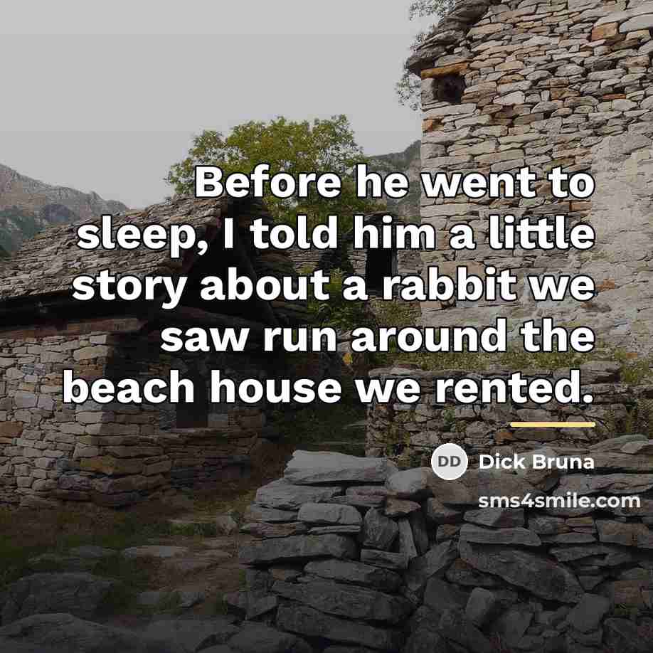 “Before he went to sleep, I told him a little…” quote by Dick Bruna