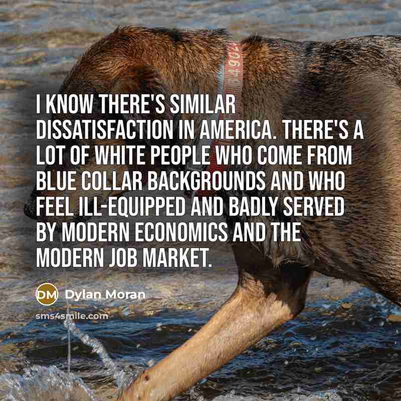 “I know there's similar dissatisfaction in America. There's a lot…” quote by Dylan Moran