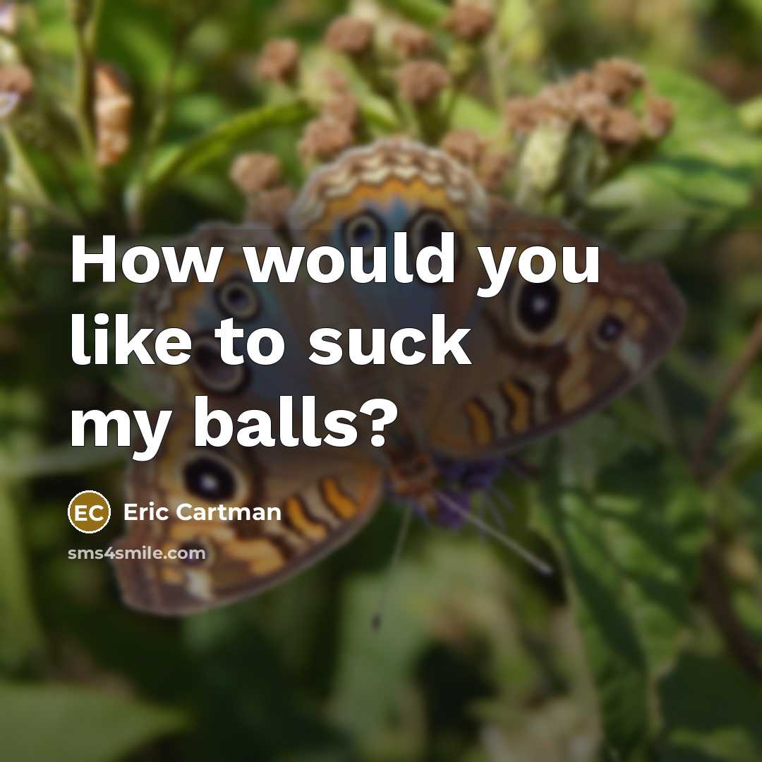 “How would you like to suck my balls?…” quote by Eric Cartman