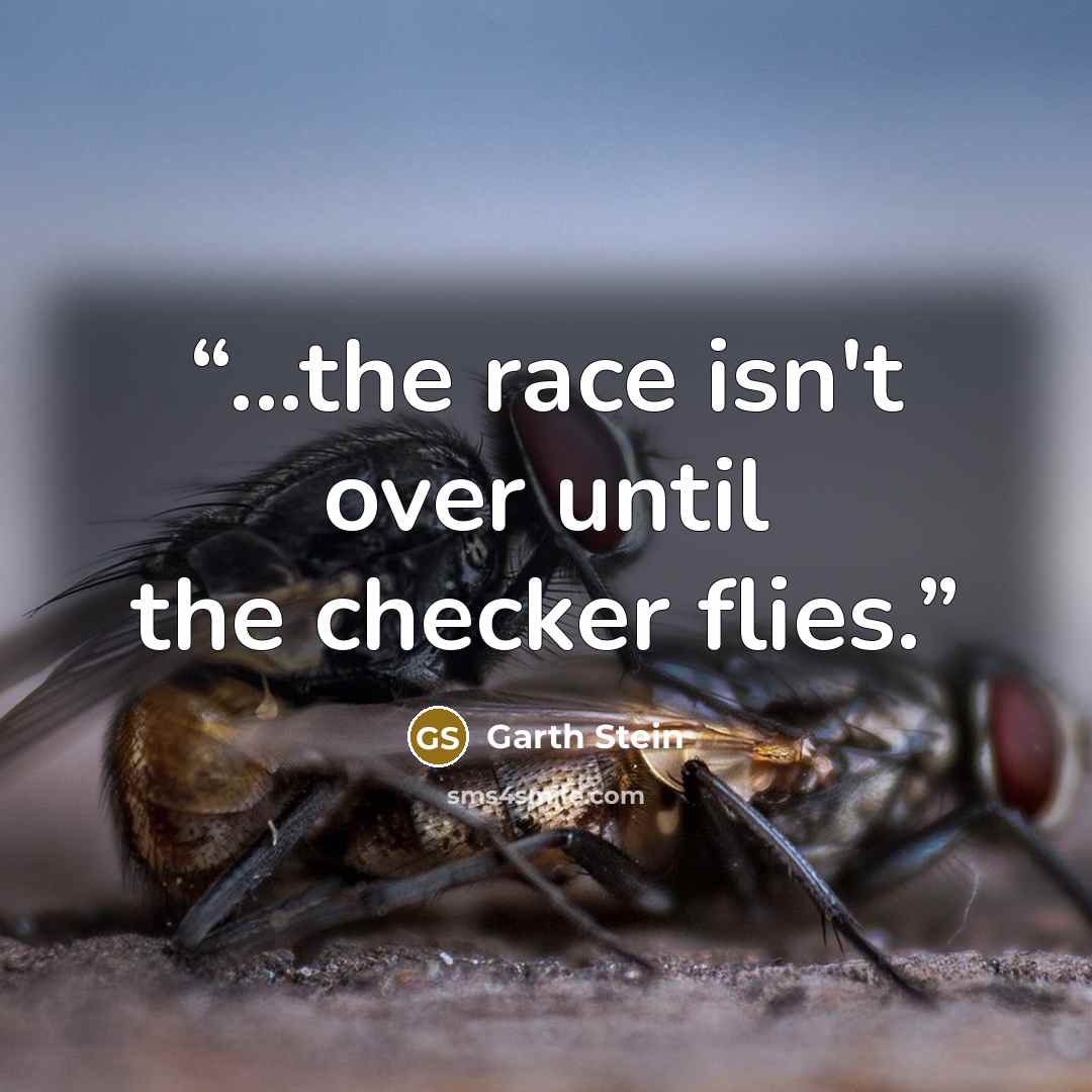 “...the race isn't over until the checker flies.” quote by Garth Stein
