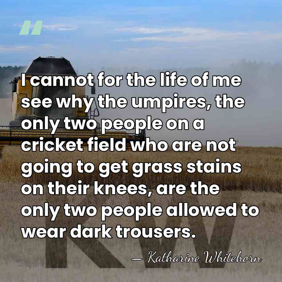 I cannot for the life of me see why the umpires, the&hellip; - Katharine Whitehorn