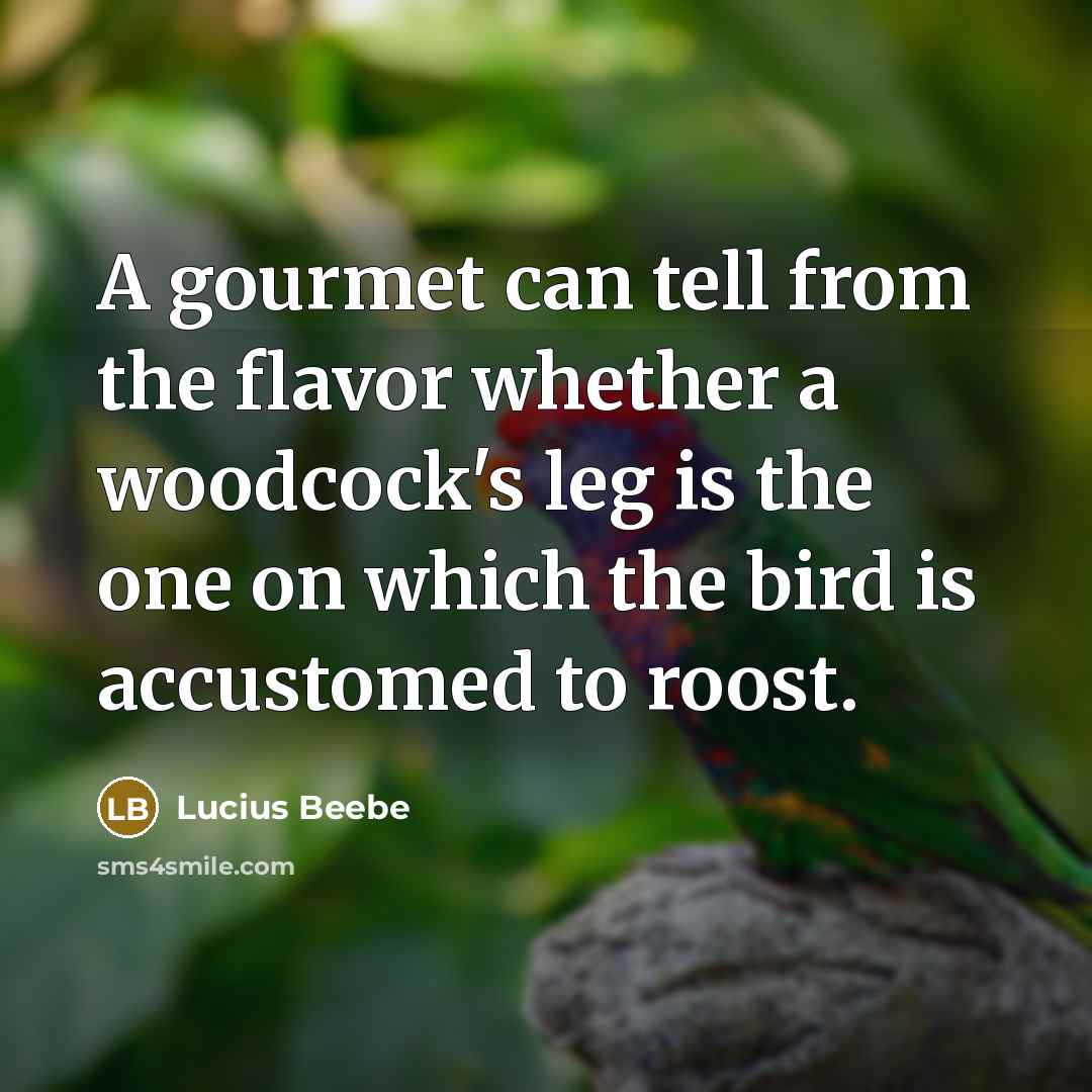 “A gourmet can tell from the flavor whether a woodcock's…” quote by Lucius Beebe