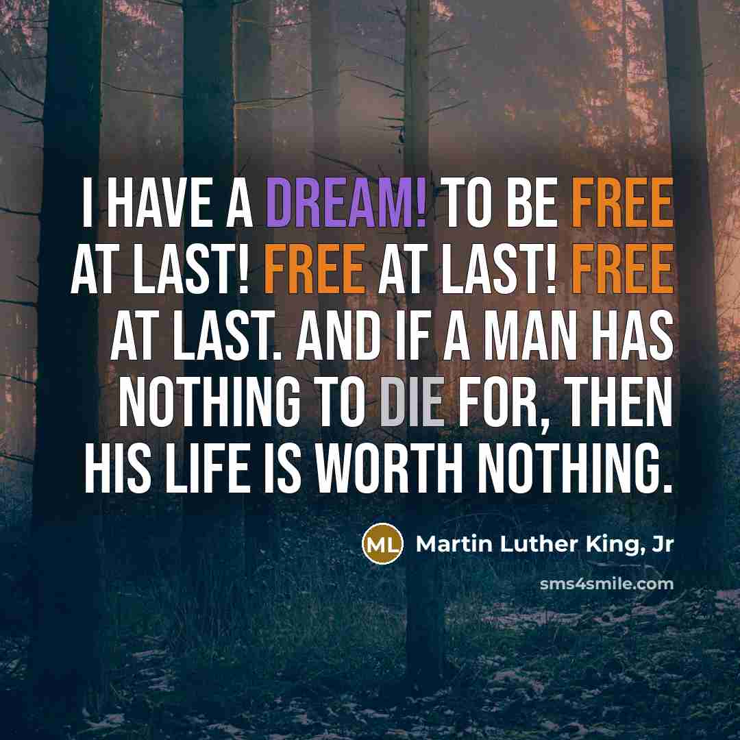 “I have a dream! To be free at last! Free…” quote by Martin Luther King, Jr