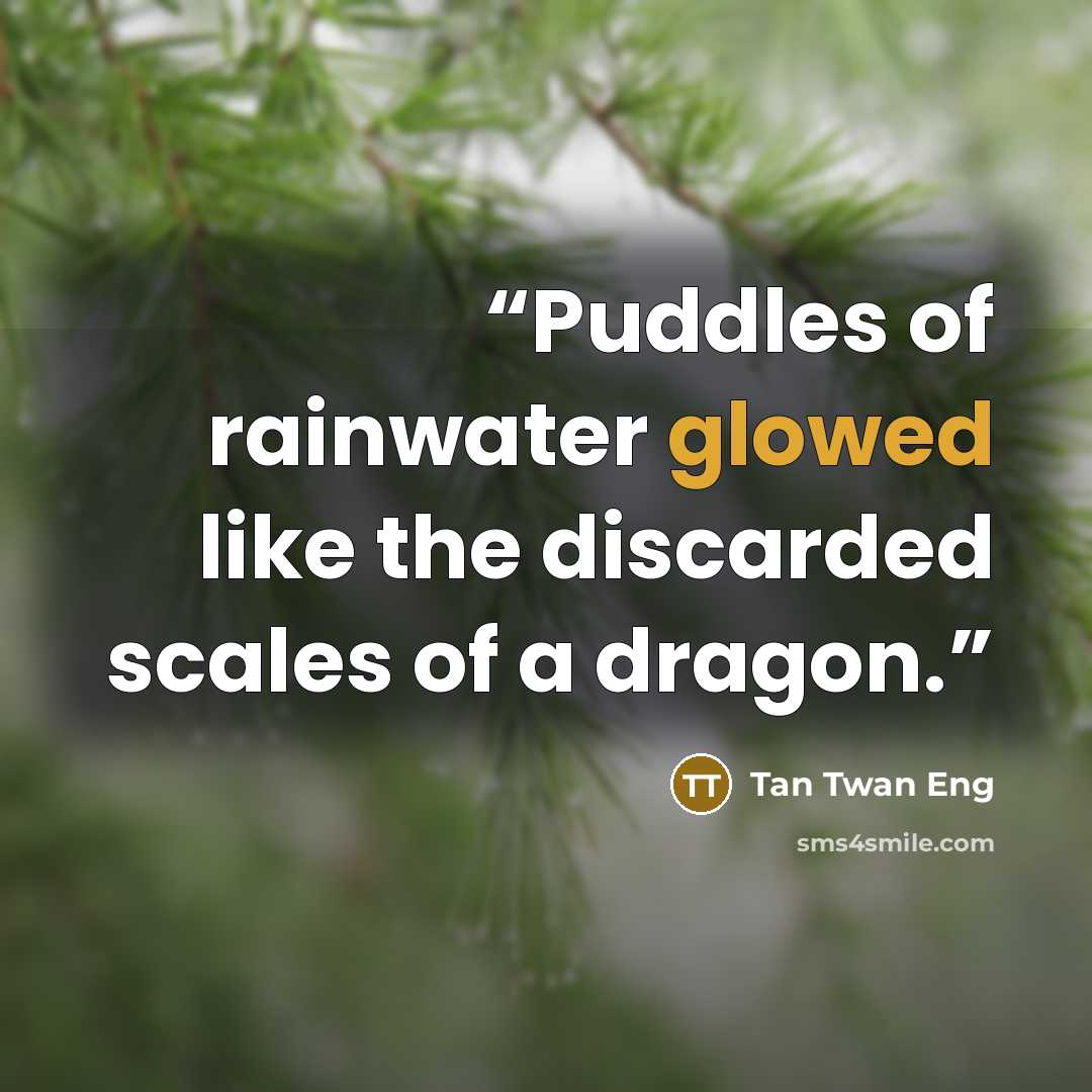 “Puddles of rainwater glowed like the discarded scales of a dragon.” quote by Tan Twan Eng