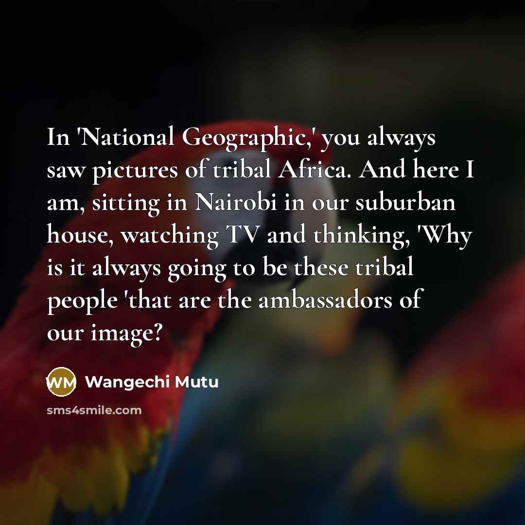 “In 'National Geographic,' you always saw pictures of tribal Africa.…” quote by Wangechi Mutu