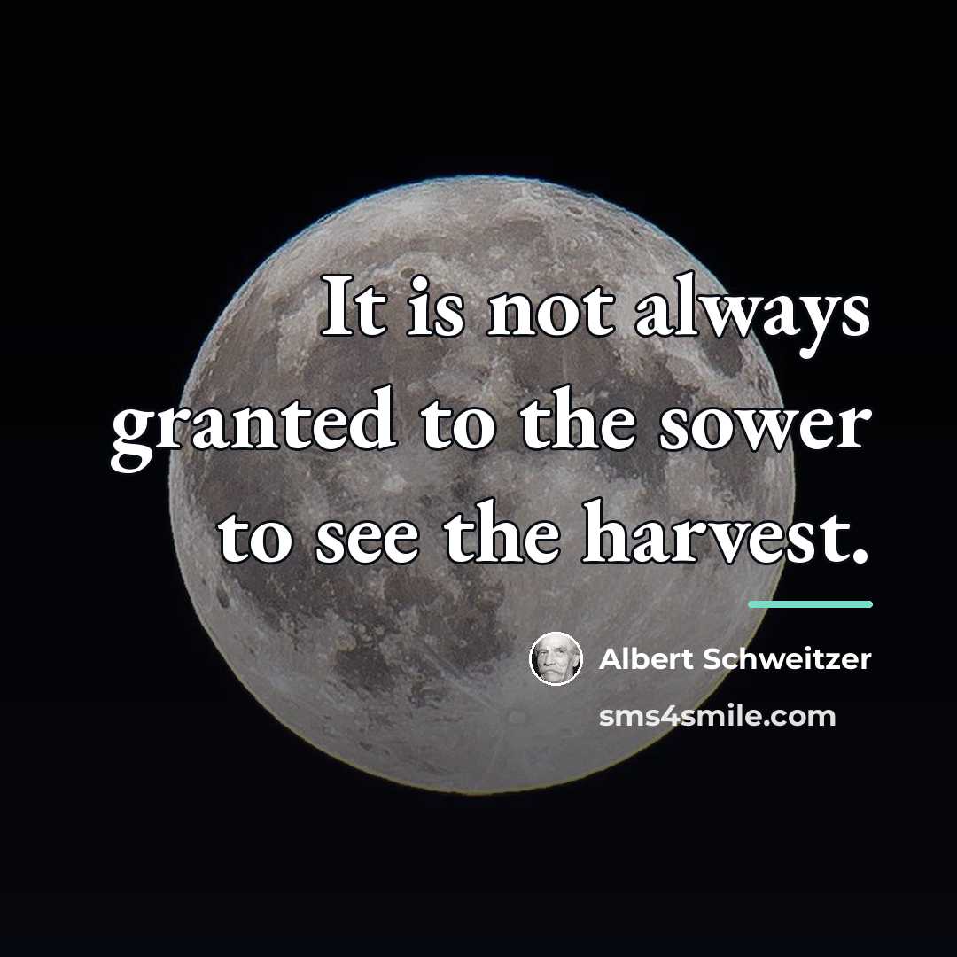 “It is not always granted to the sower to see…” quote by Albert Schweitzer