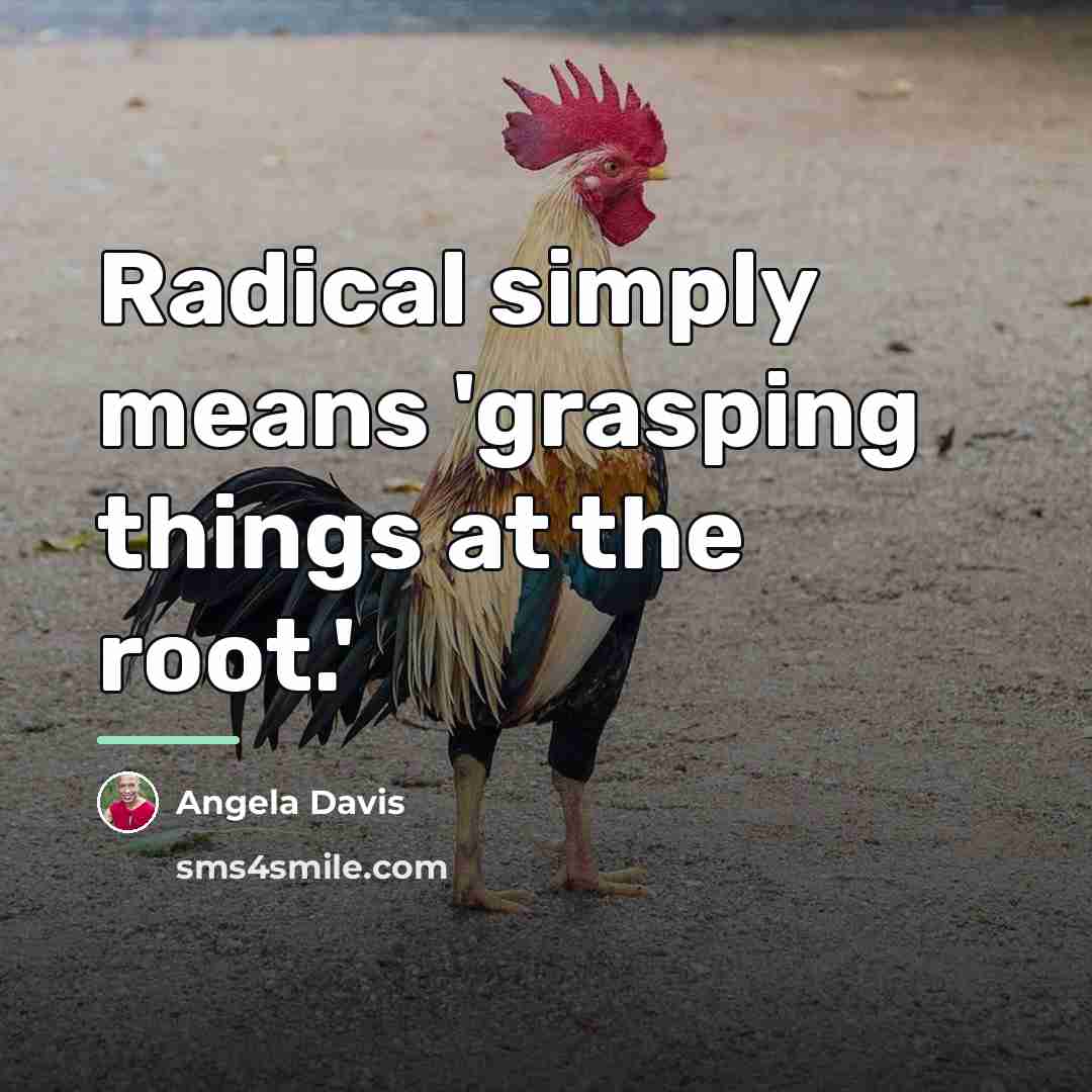 “Radical simply means 'grasping things at the root.'…” quote by Angela Davis
