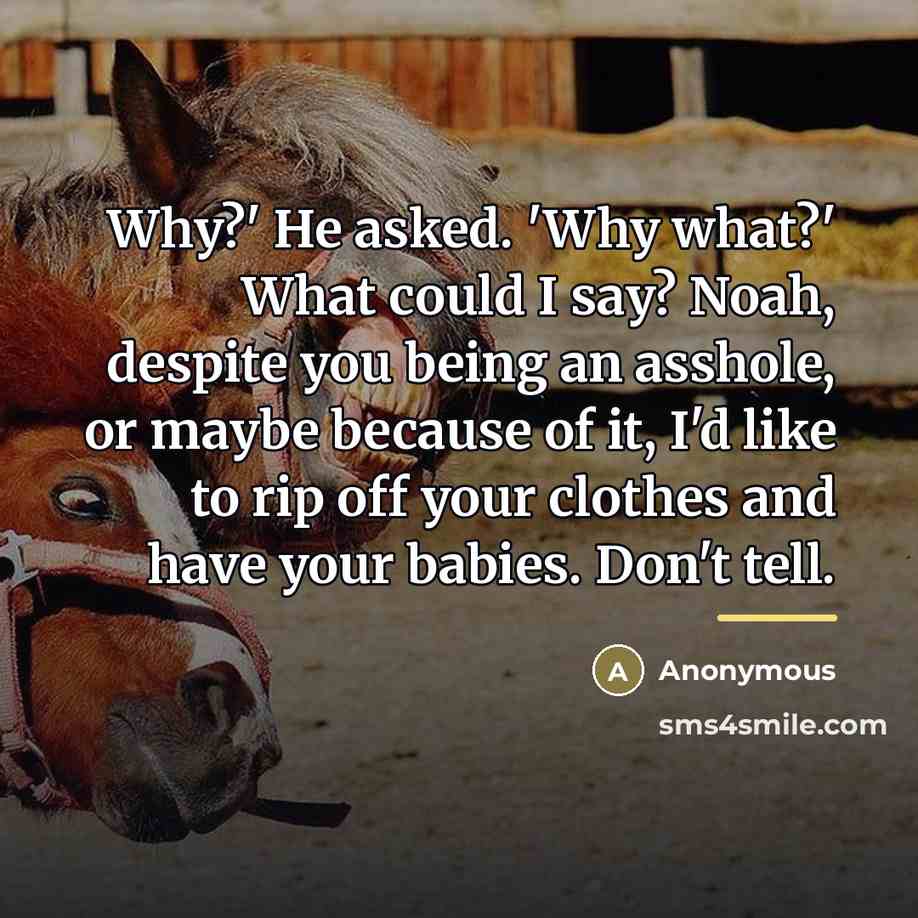 “Why?' He asked. 'Why what?' What could I say? Noah,…” quote by Anonymous