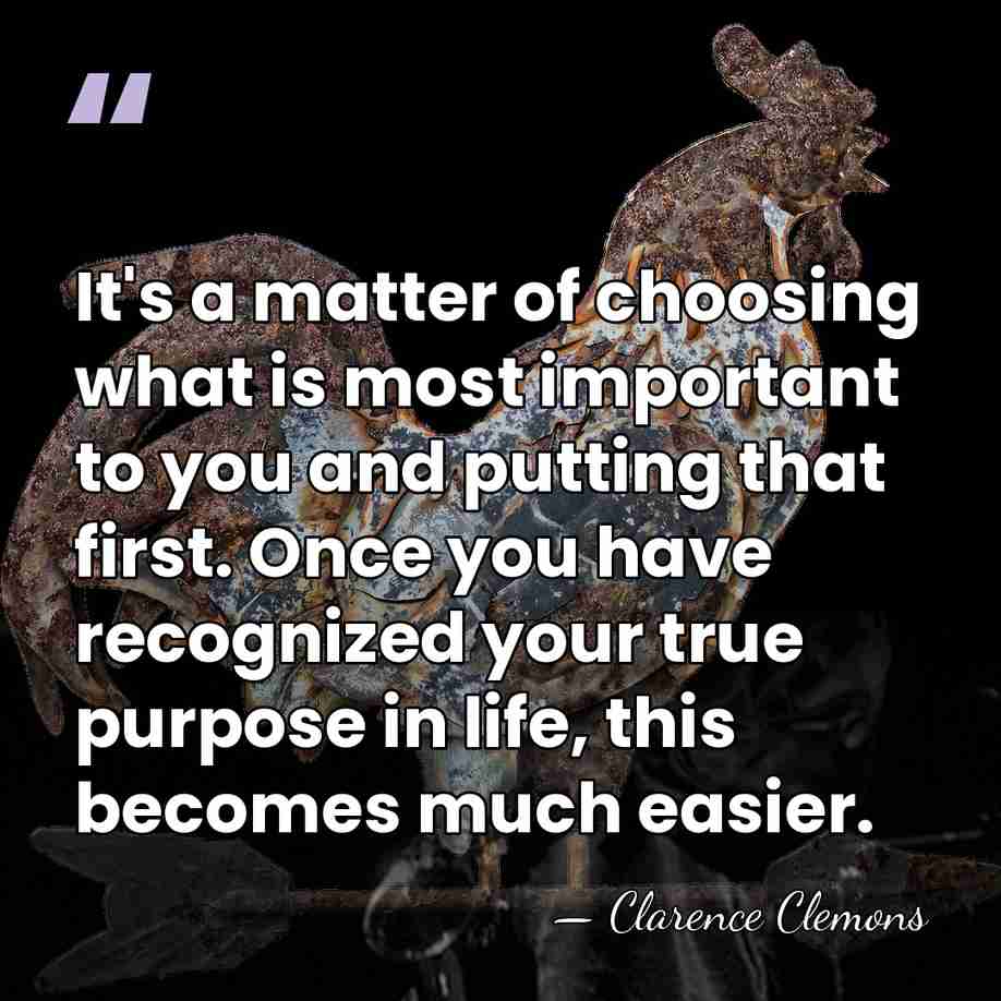 It's a matter of choosing what is most important to you and&hellip; - Clarence Clemons