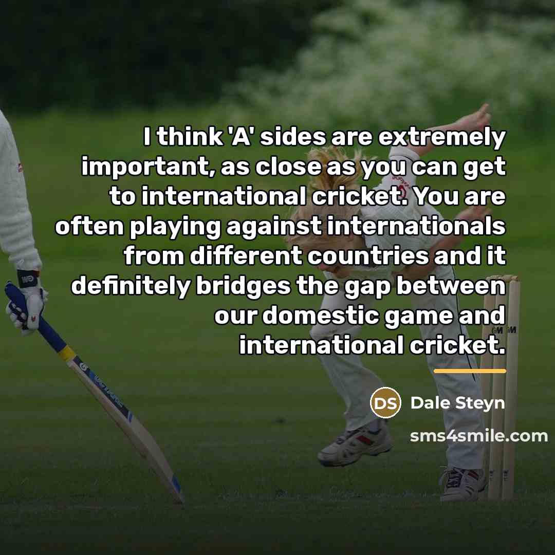 “I think 'A' sides are extremely important, as close as…” quote by Dale Steyn
