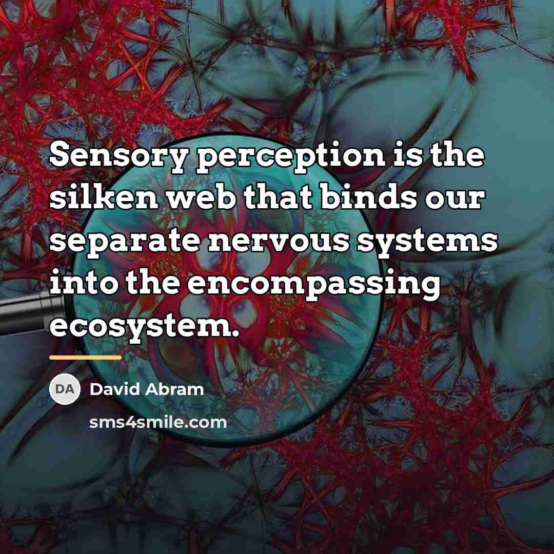 “Sensory perception is the silken web that binds our separate…” quote by David Abram