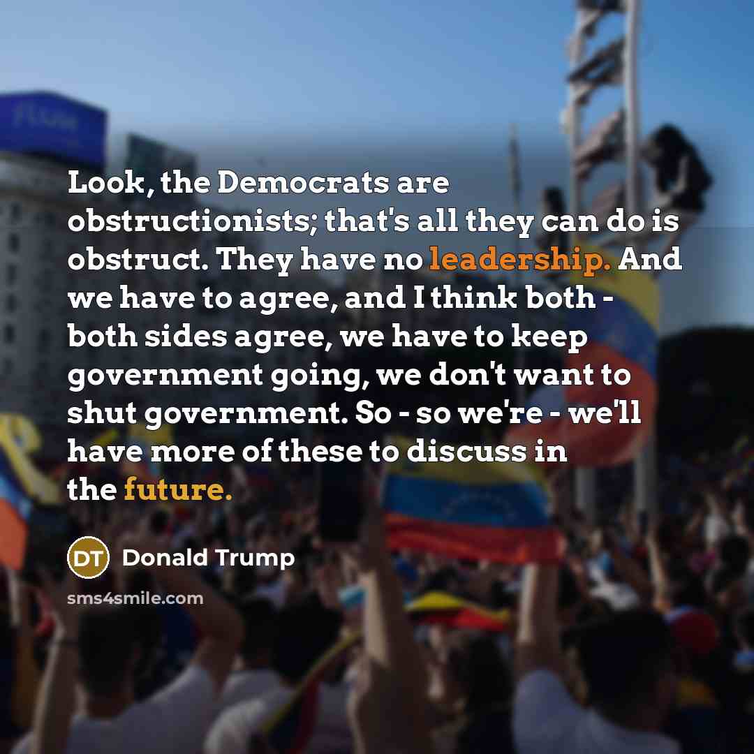 “Look, the Democrats are obstructionists; that's all they can do…” quote by Donald Trump