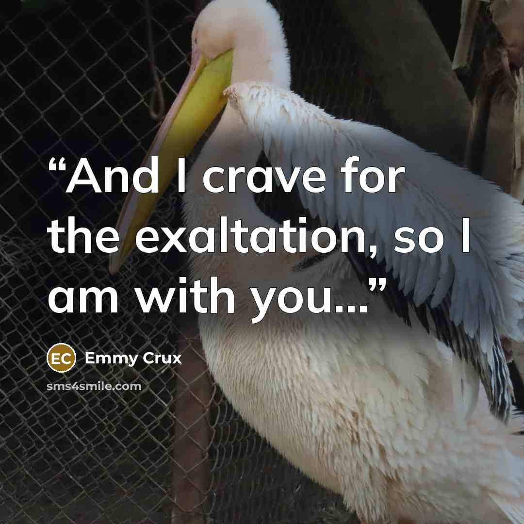 “And I crave for the exaltation, so I am with you...” quote by Emmy Crux