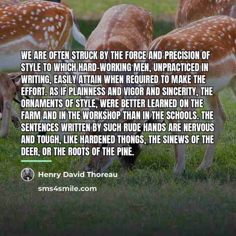 “We are often struck by the force and precision of…” quote by Henry David Thoreau