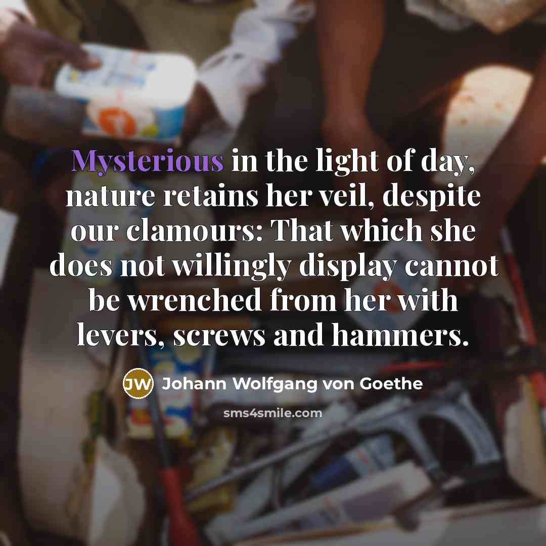 “Mysterious in the light of day, nature retains her veil,…” quote by Johann Wolfgang von Goethe