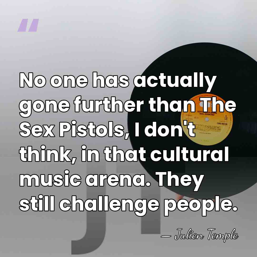 No one has actually gone further than The Sex Pistols, I don't&hellip; - Julien Temple