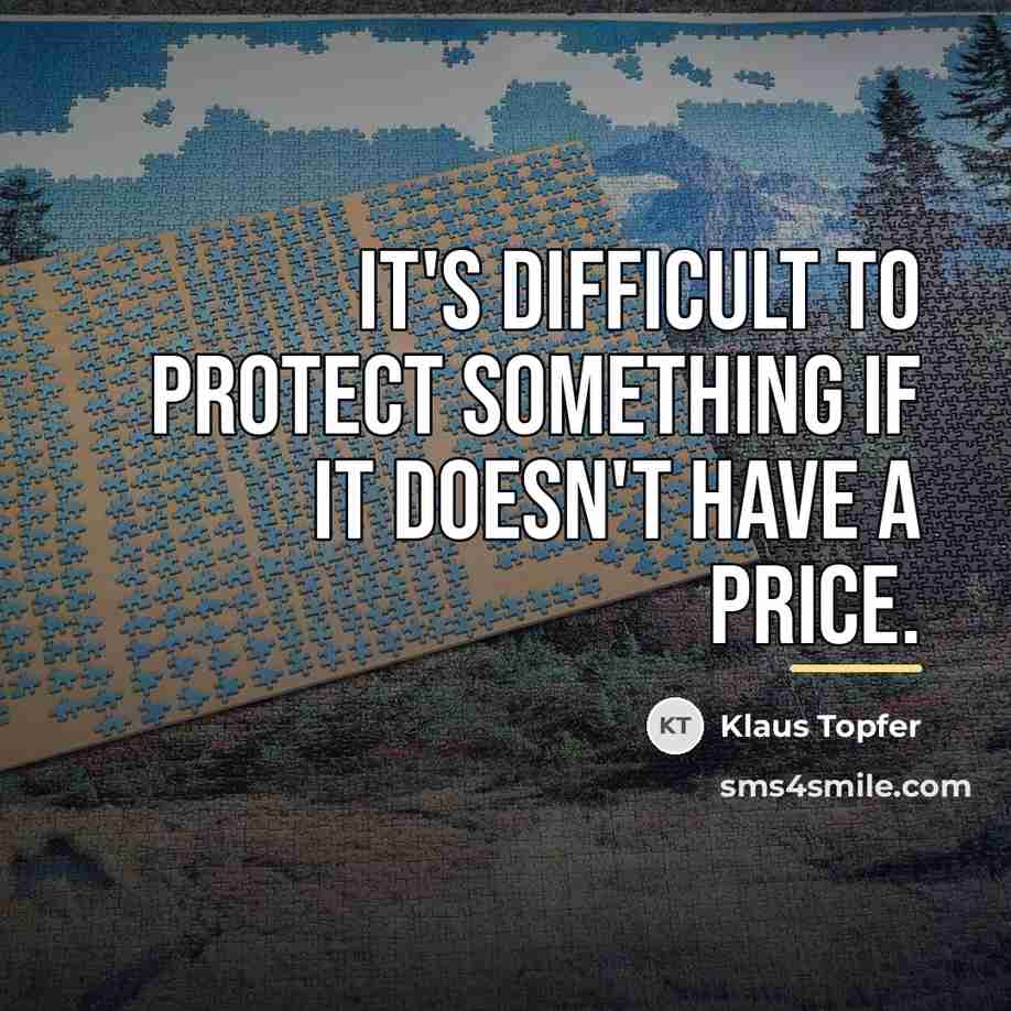 “It's difficult to protect something if it doesn't have a…” quote by Klaus Topfer
