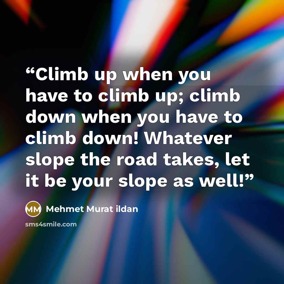 “Climb up when you have to climb up; climb down when you have to climb down! Whatever slope the road takes, let it be your slope as well!” quote by Mehmet Murat ildan
