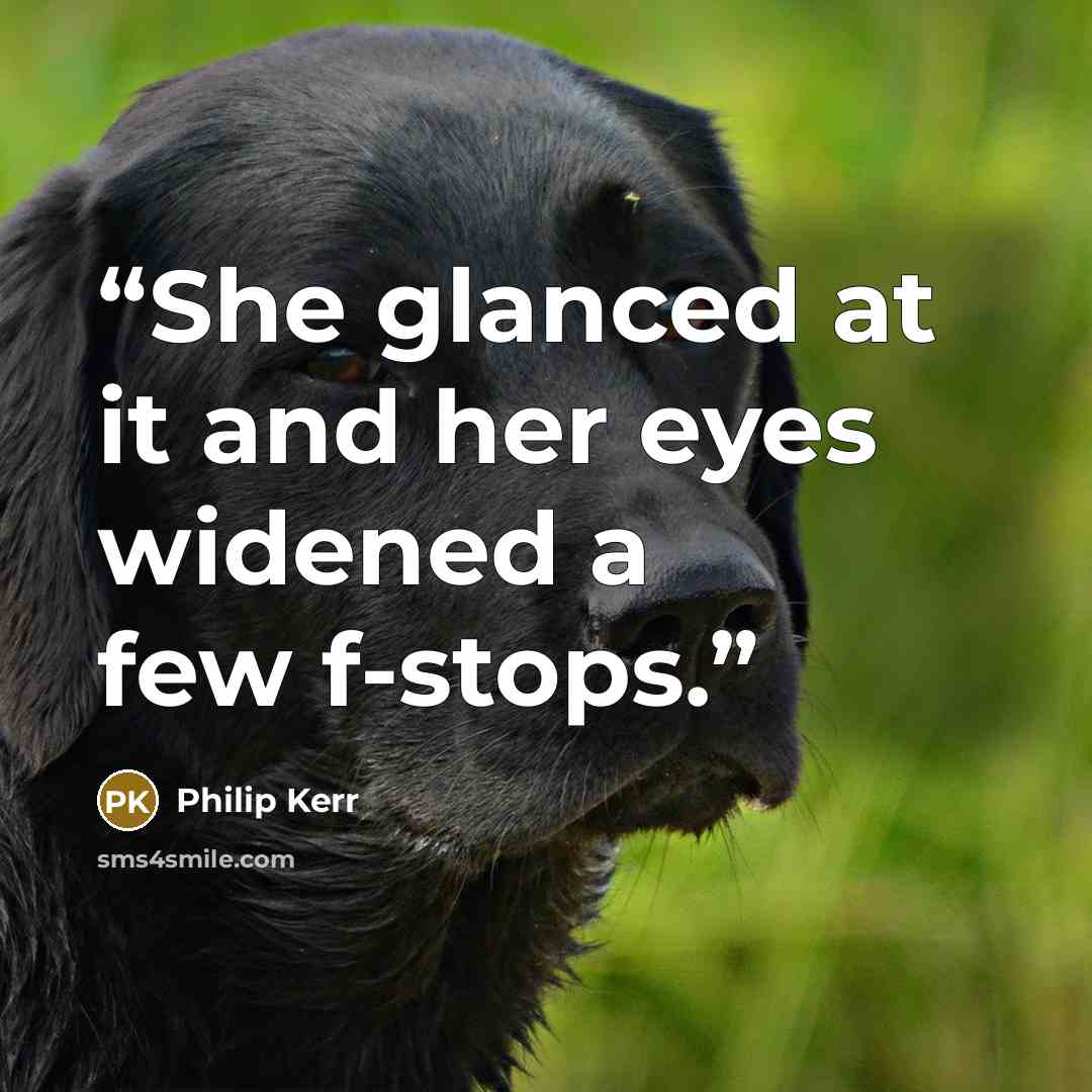 “She glanced at it and her eyes widened a few f-stops.” quote by Philip Kerr