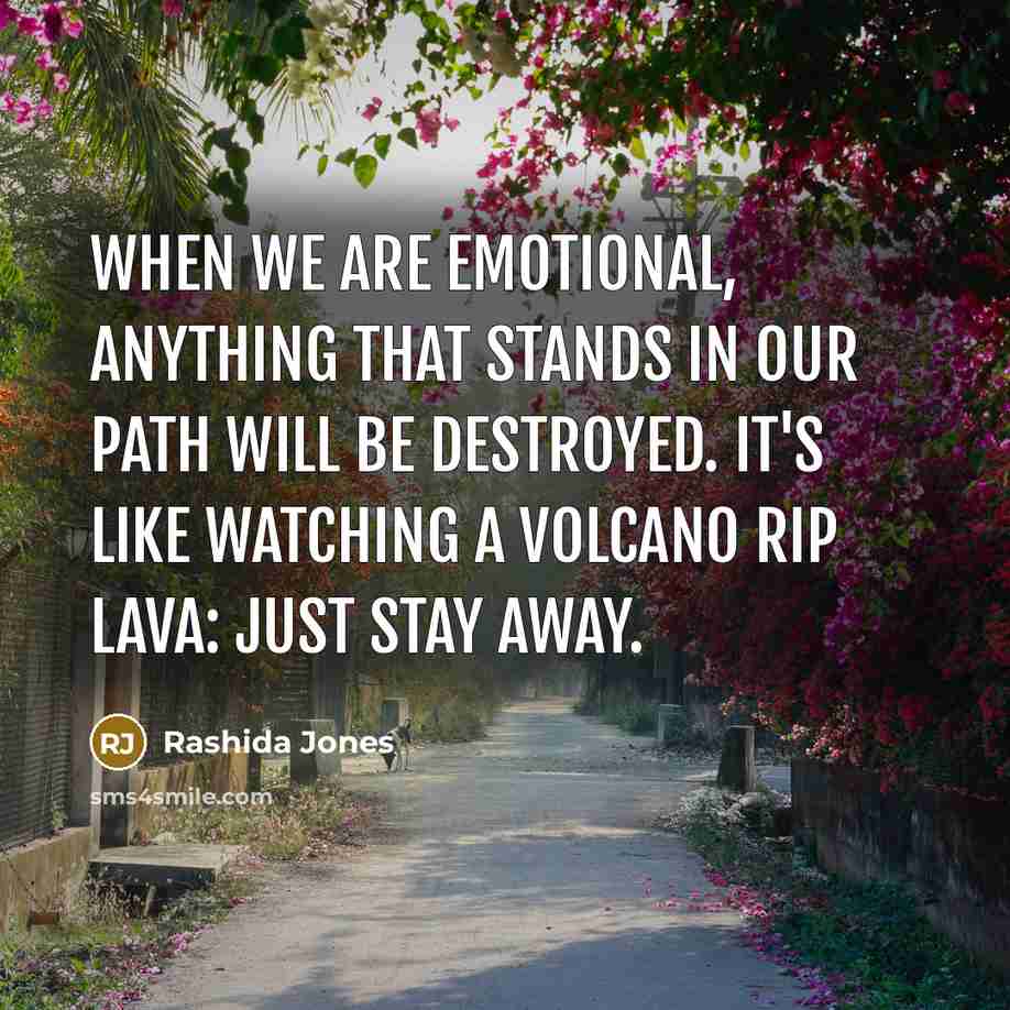 “When we are emotional, anything that stands in our path…” quote by Rashida Jones