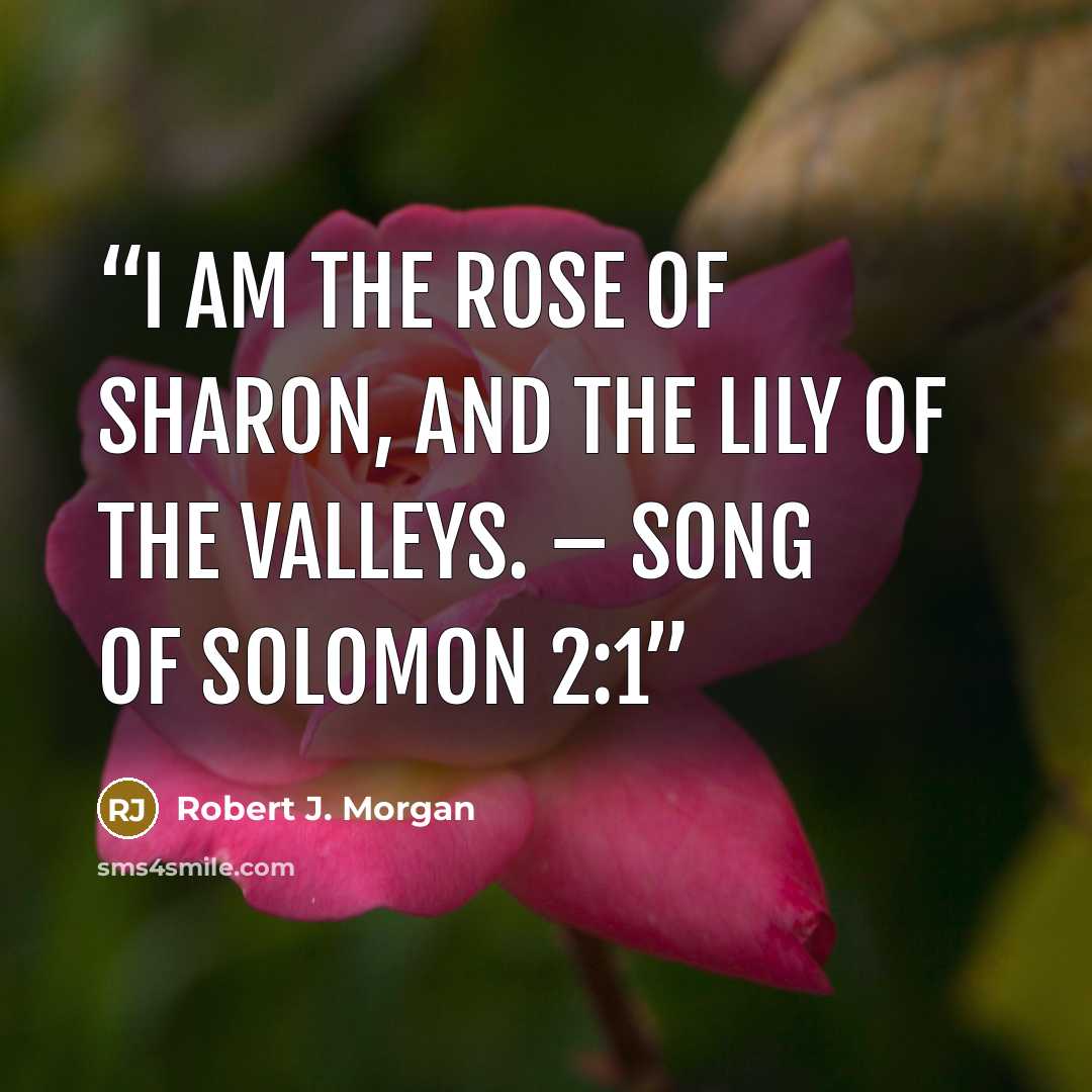 “I am the rose of Sharon, and the lily of the valleys. – Song of Solomon 2:1” quote by Robert J. Morgan