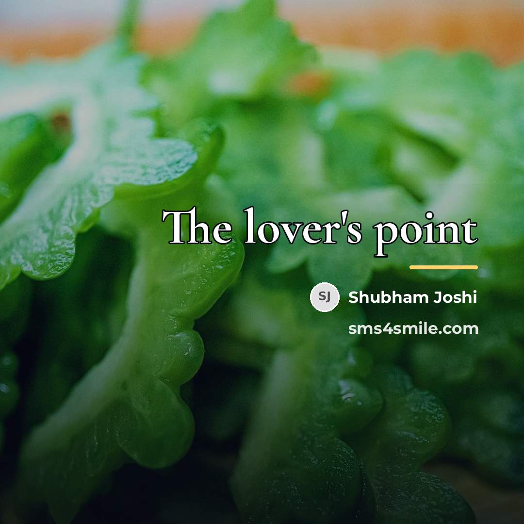 “The lover's point…” quote by Shubham Joshi