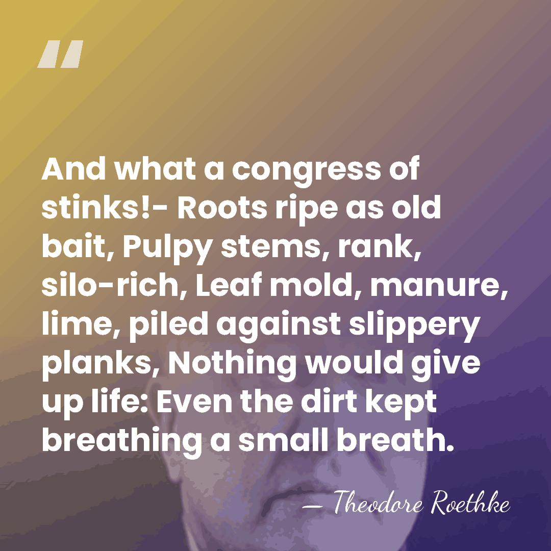 And what a congress of stinks!- Roots ripe as old bait, Pulpy&hellip; - Theodore Roethke
