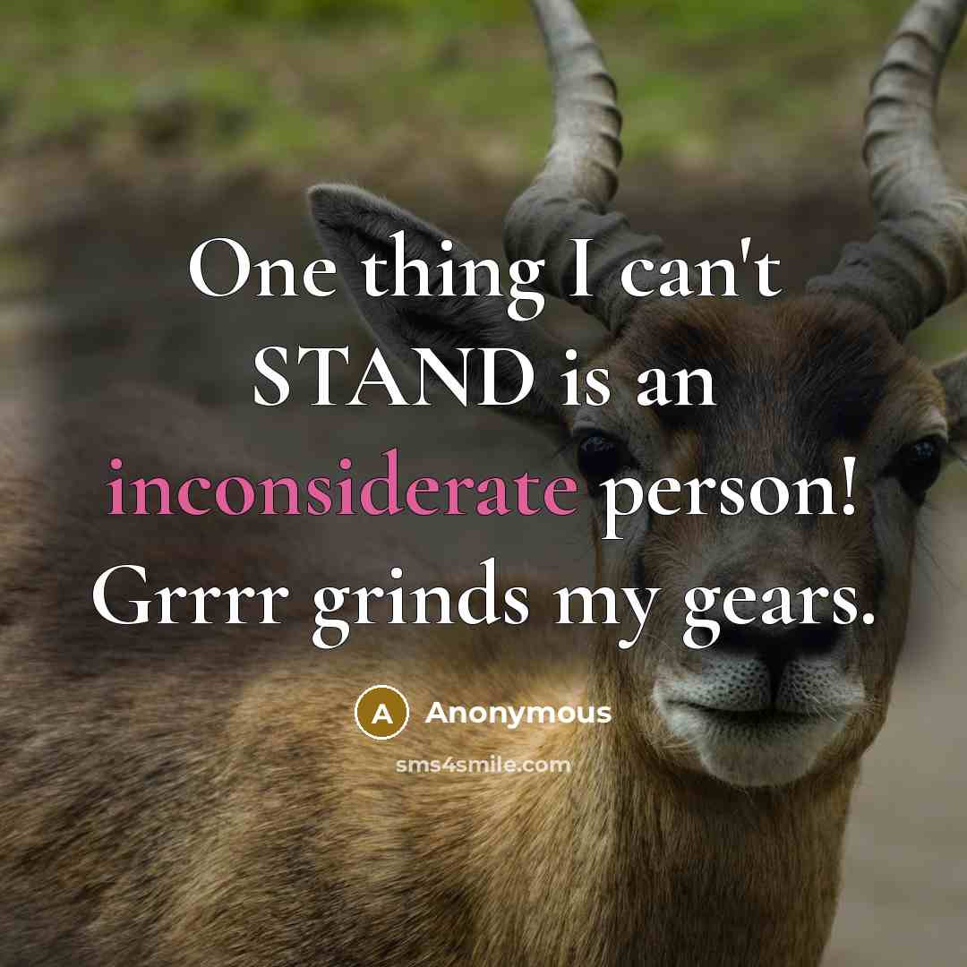 “One thing I can't STAND is an inconsiderate person! Grrrr grinds my gears.” quote by Anonymous