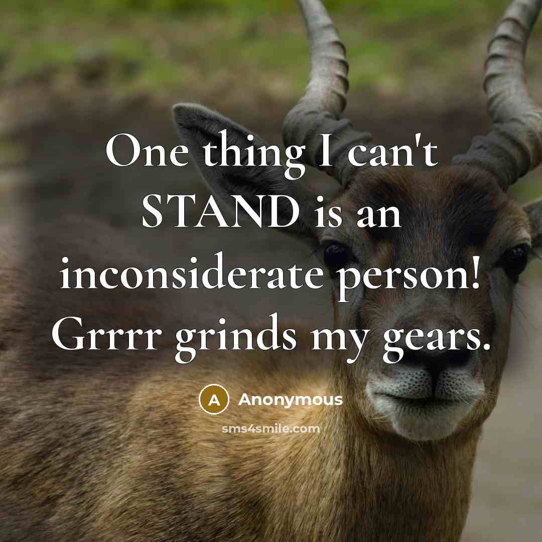 “One thing I can't STAND is an inconsiderate person! Grrrr grinds my gears.” quote by Anonymous