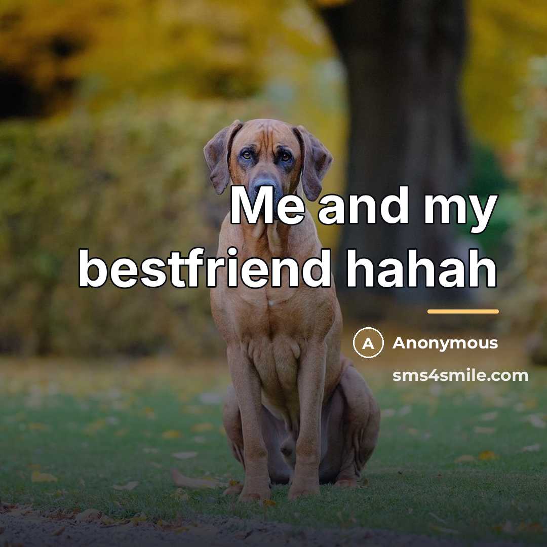 “Me and my bestfriend hahah…” quote by Anonymous