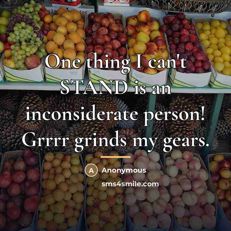 “One thing I can't STAND is an inconsiderate person! Grrrr grinds my gears.” quote by Anonymous