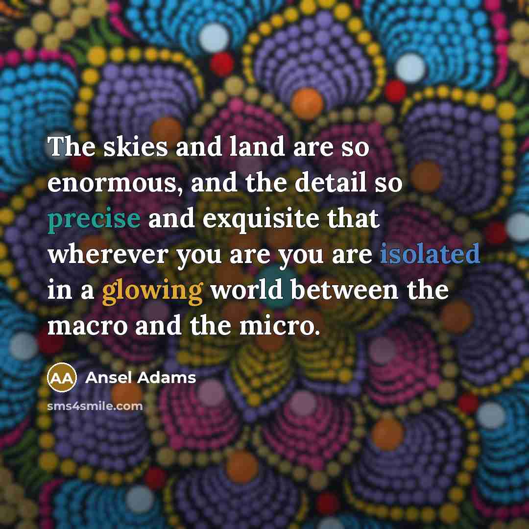 “The skies and land are so enormous, and the detail…” quote by Ansel Adams