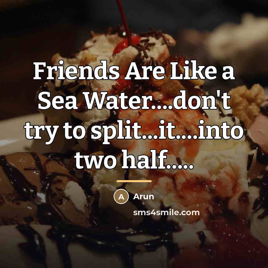 “Friends Are Like a Sea Water....don't try to split...it....into two…” quote by Arun