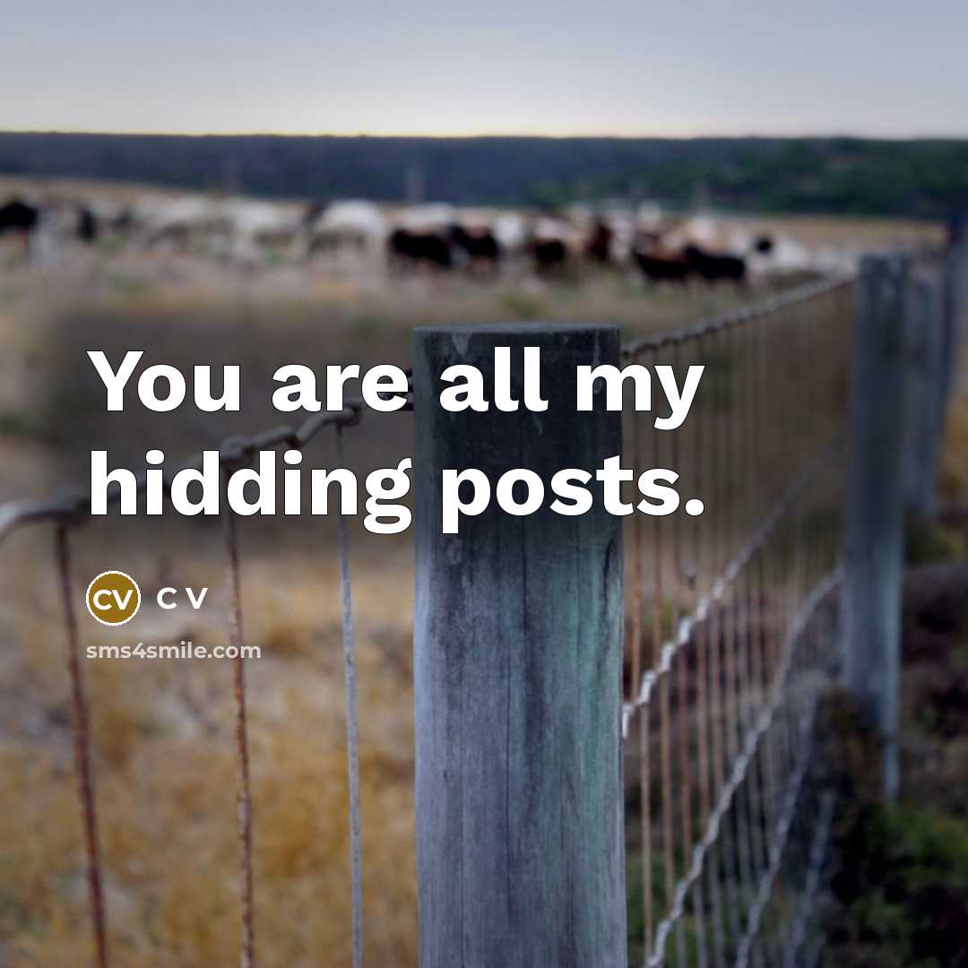 “You are all my hidding posts.…” quote by C V