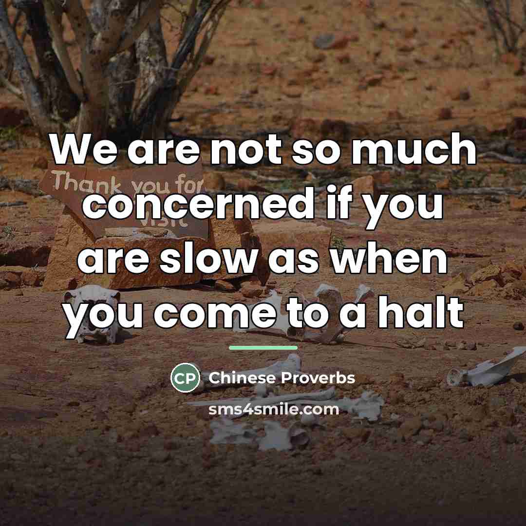 “We are not so much concerned if you are slow…” quote by Chinese Proverbs