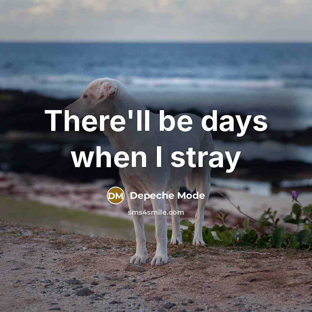 “There'll be days when I stray…” quote by Depeche Mode