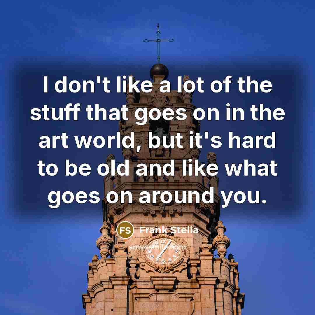 “I don't like a lot of the stuff that goes…” quote by Frank Stella