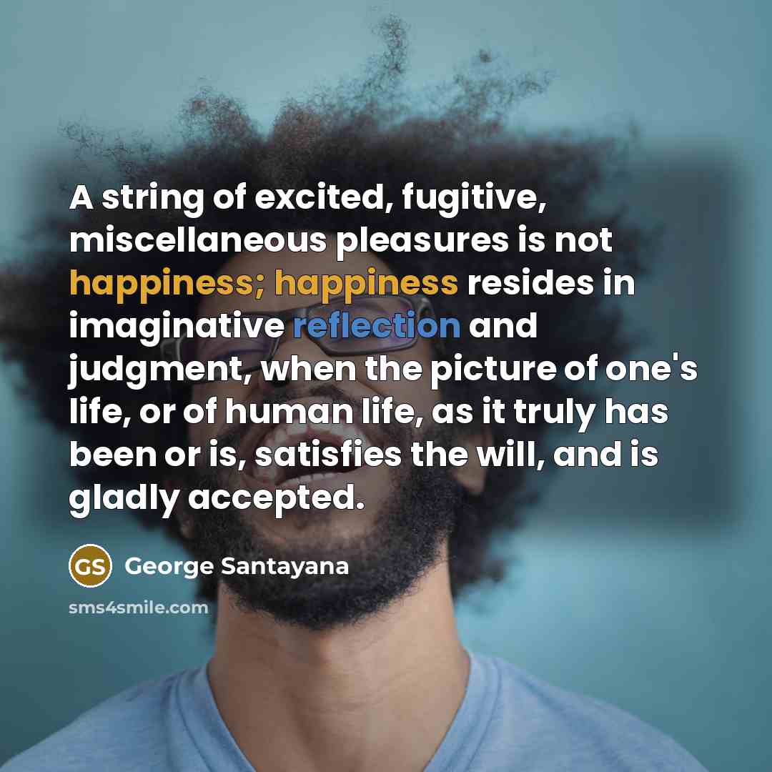 “A string of excited, fugitive, miscellaneous pleasures is not happiness;…” quote by George Santayana