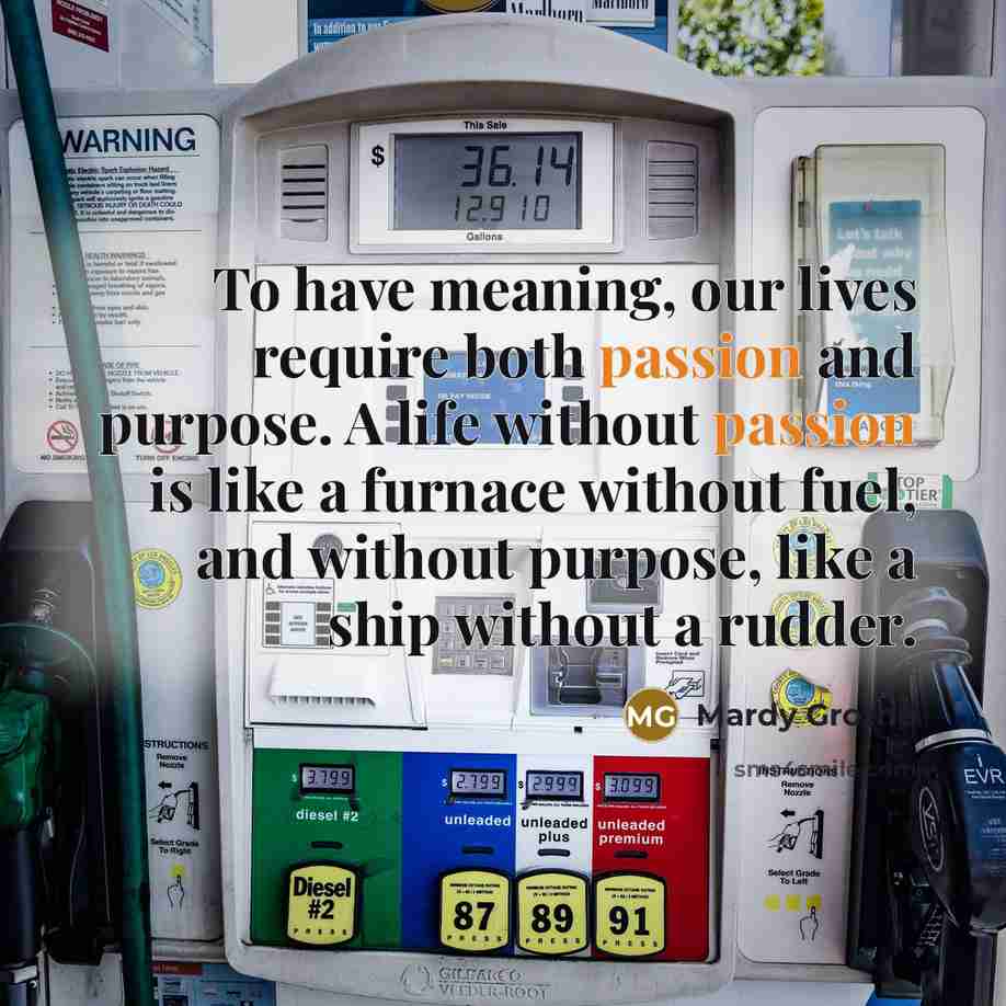 “To have meaning, our lives require both passion and purpose.…” quote by Mardy Grothe