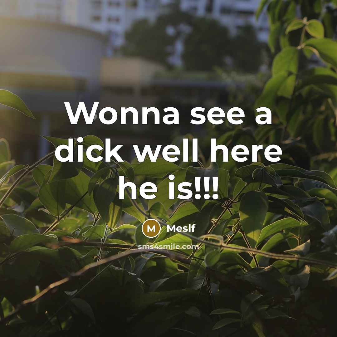 “Wonna see a dick well here he is!!!…” quote by Meslf