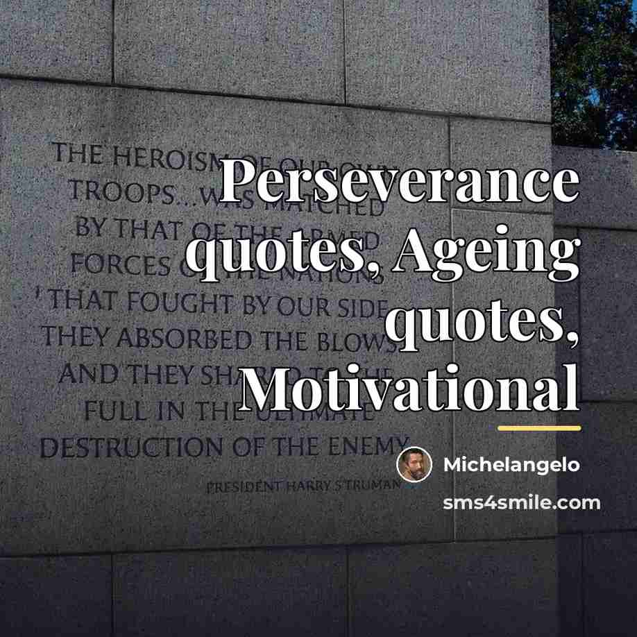 “Perseverance quotes, Ageing quotes, Motivational…” quote by Michelangelo