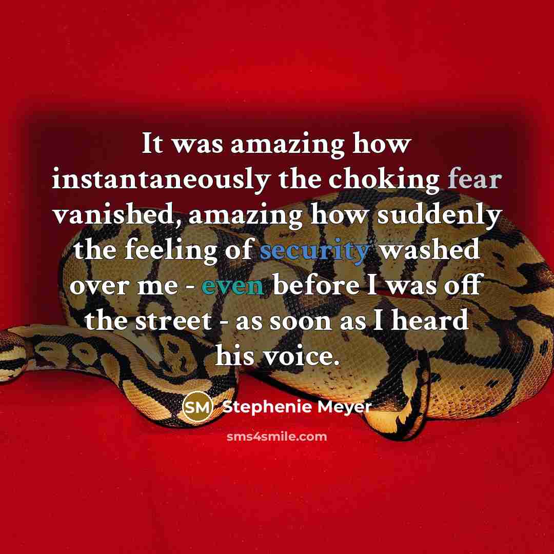 “It was amazing how instantaneously the choking fear vanished, amazing…” quote by Stephenie Meyer