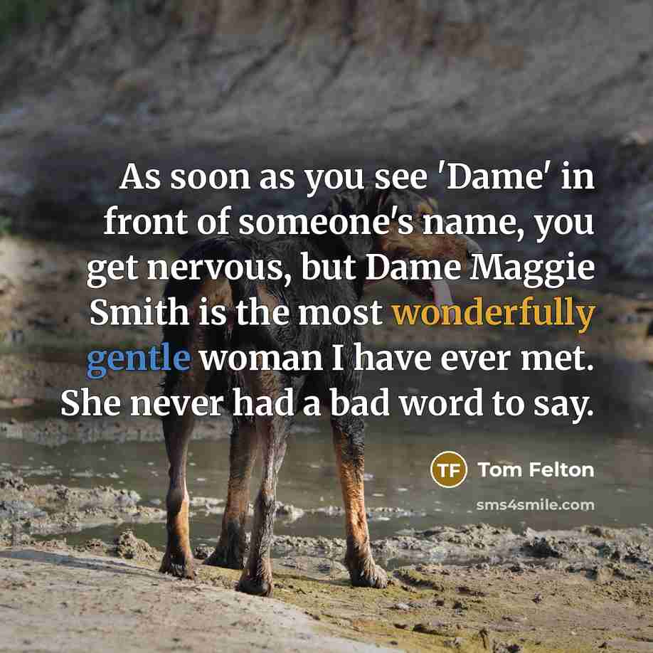 “As soon as you see 'Dame' in front of someone's…” quote by Tom Felton