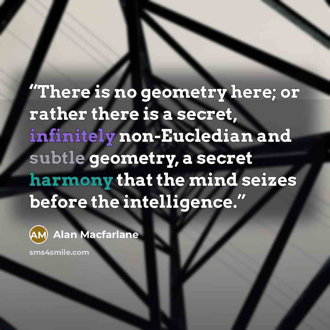 “There is no geometry here; or rather there is a secret, infinitely non-Eucledian and subtle geometry, a secret harmony that the mind seizes before the intelligence.” quote by Alan Macfarlane