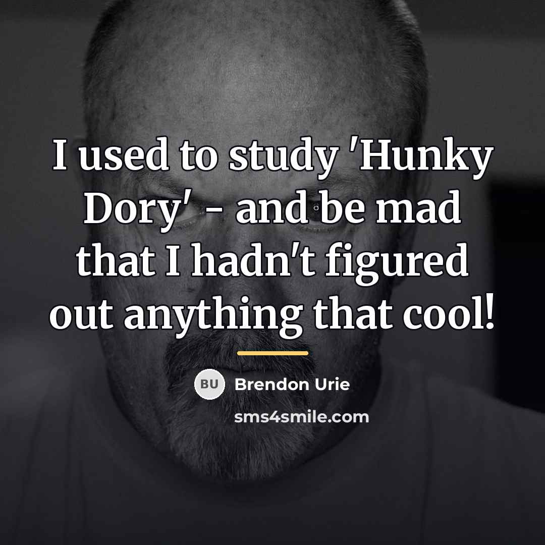“I used to study 'Hunky Dory' - and be mad…” quote by Brendon Urie