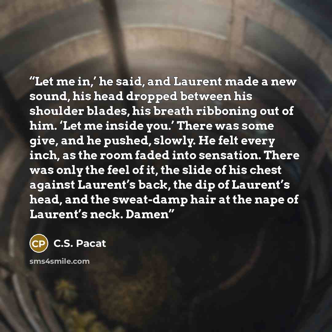 “Let me in,’ he said, and Laurent made a new sound, his head dropped between his shoulder blades, his breath ribboning out of him. ‘Let me inside you.’ There was some give, and he pushed, slowly. He felt every inch, as the room faded into sensation. There was only the feel of it, the slide of his…” quote by C.S. Pacat