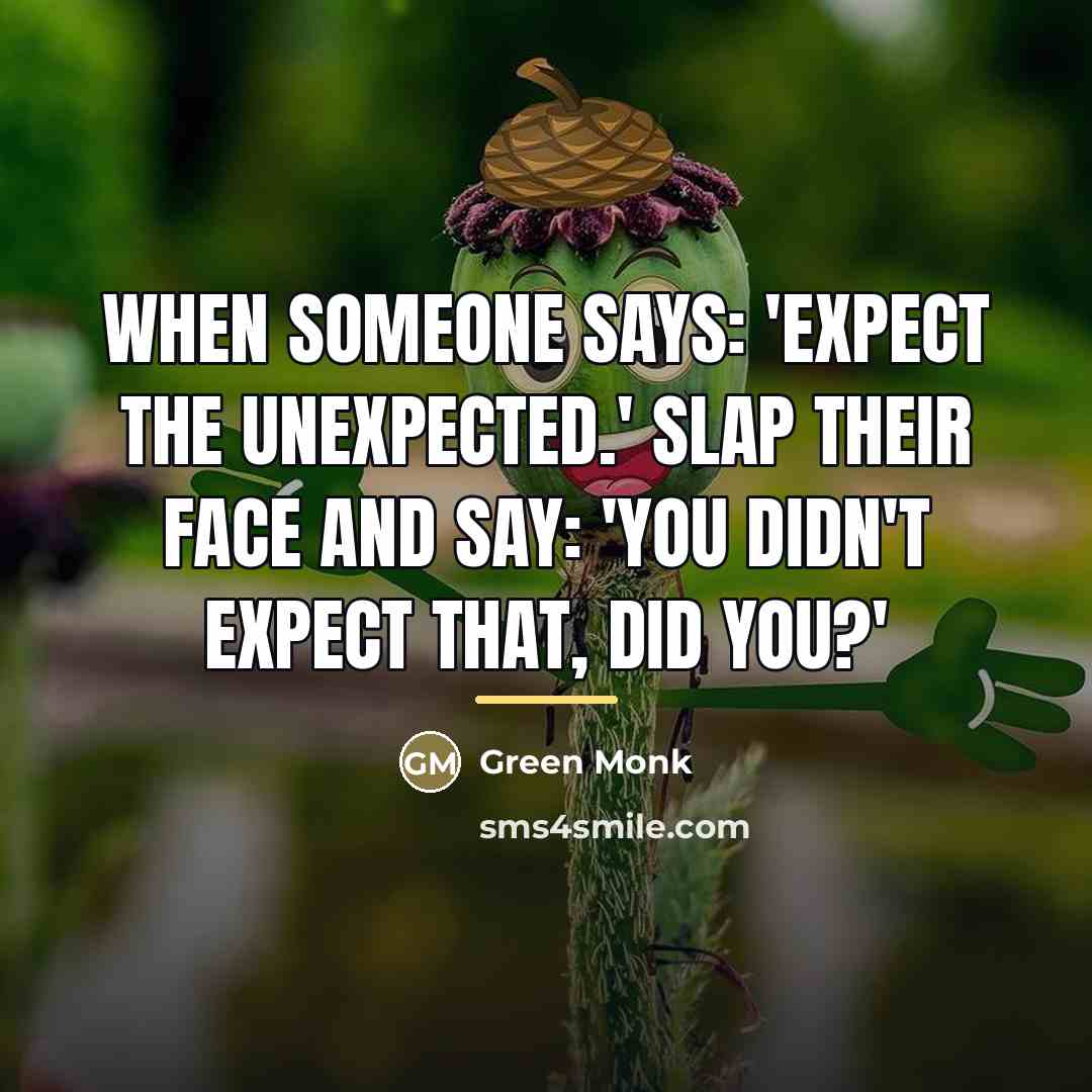 “When someone says: 'Expect the unexpected.' Slap their face and…” quote by Green Monk