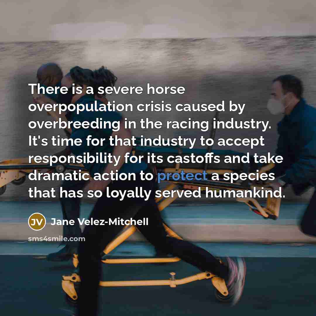 “There is a severe horse overpopulation crisis caused by overbreeding…” quote by Jane Velez-Mitchell