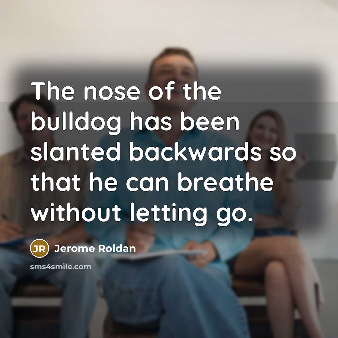 “The nose of the bulldog has been slanted backwards so…” quote by Jerome Roldan