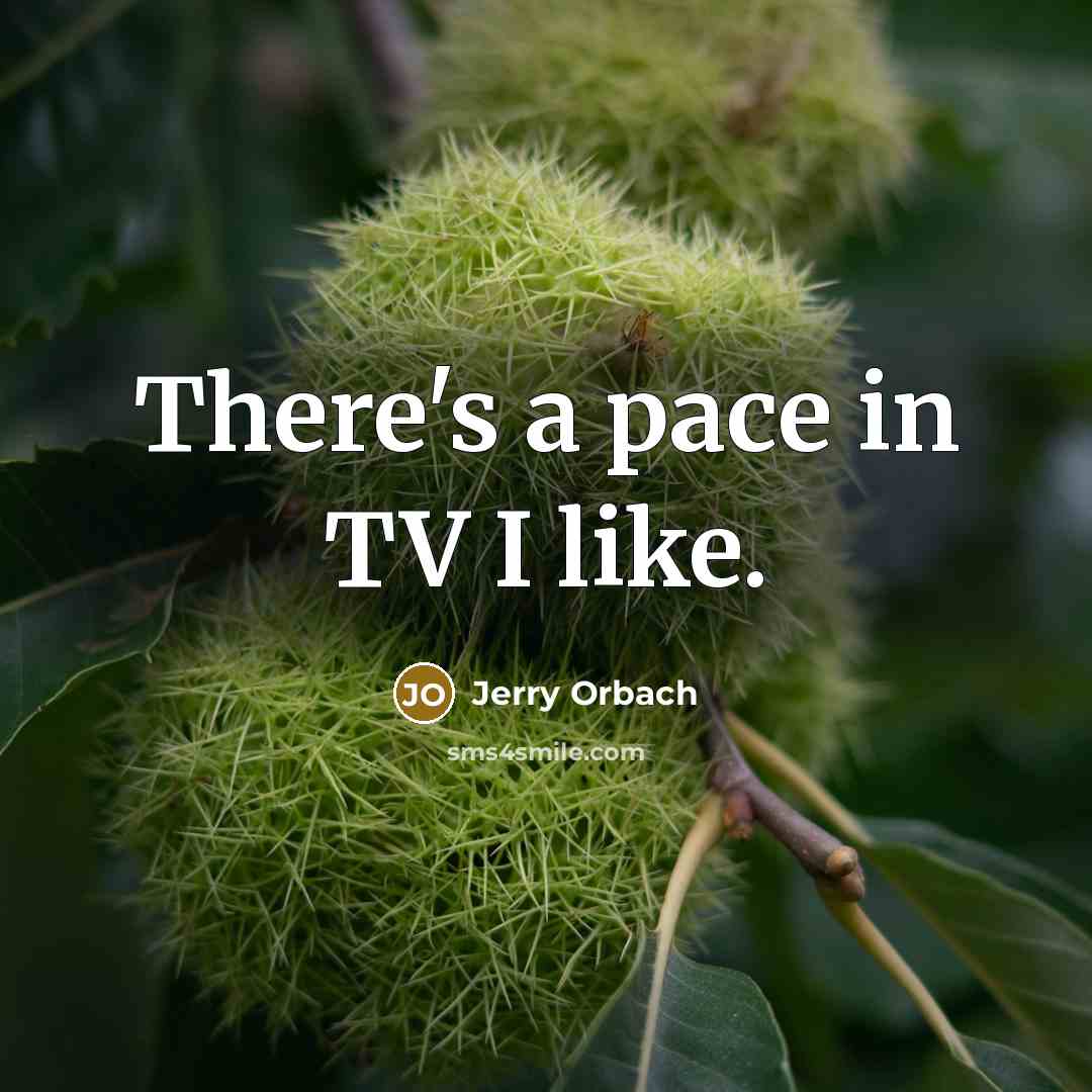 “There's a pace in TV I like.…” quote by Jerry Orbach